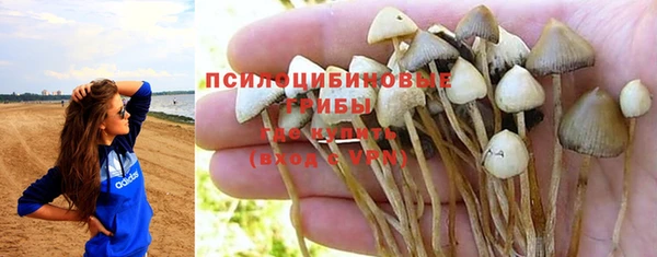 прущий лед Арсеньев