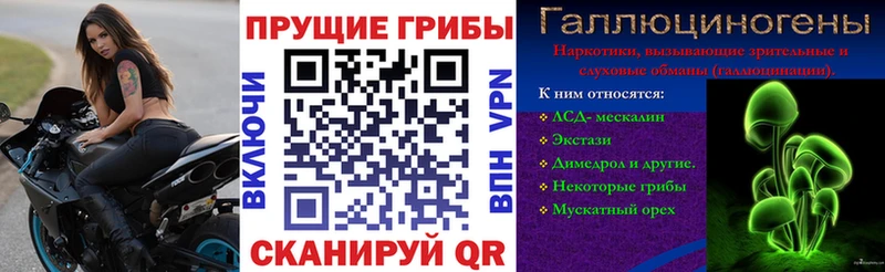 Галлюциногенные грибы ЛСД  Купить где  Межгорье 